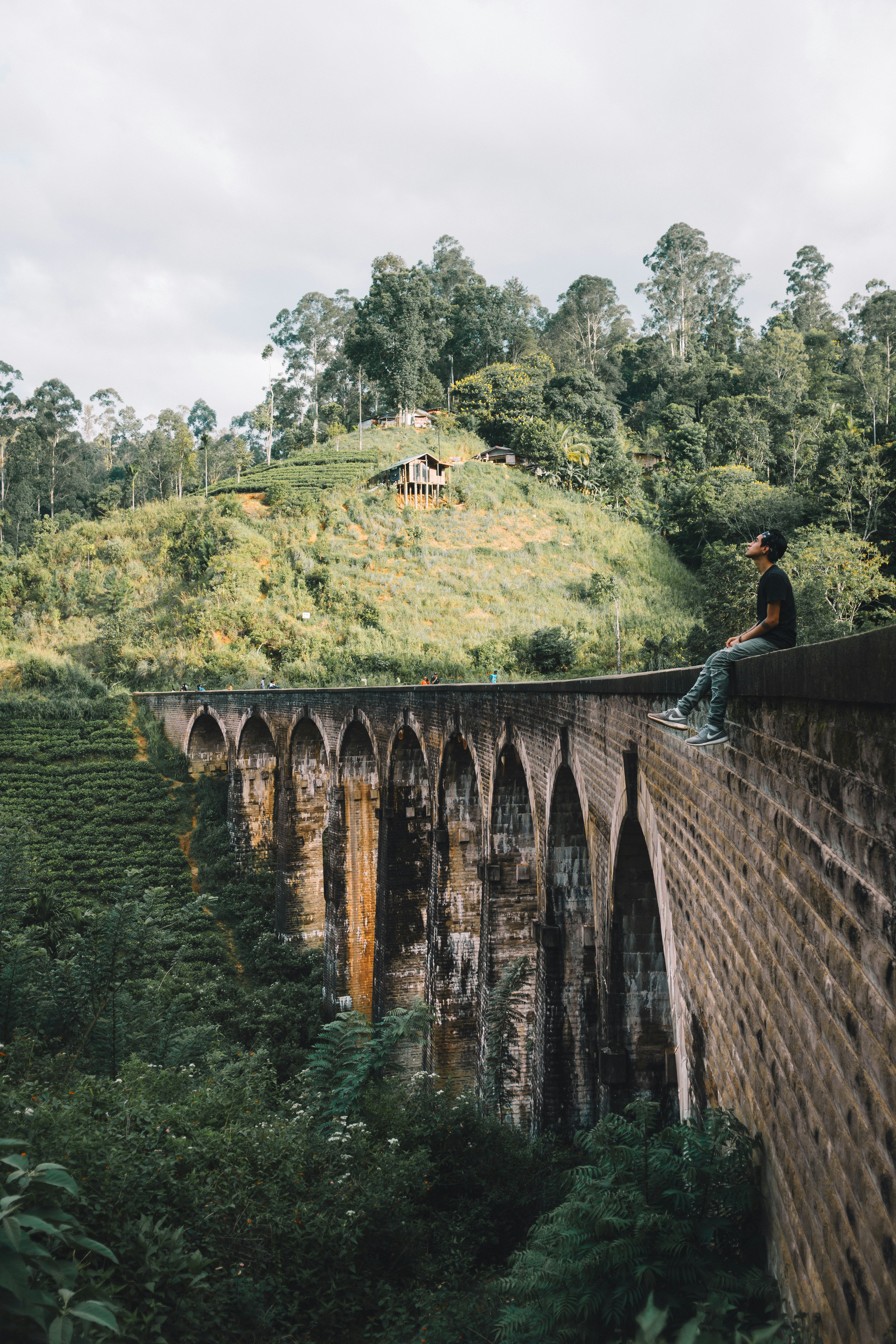 Mountain view of Ella with tea plantations